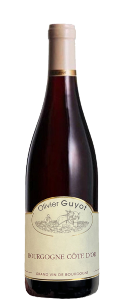 Bourgogne Côte d'or Domaine Olivier Guyot 2020