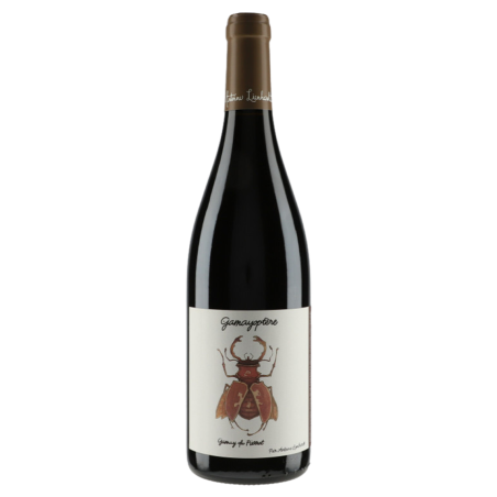 Coteaux Bourguignons GamayOptère  Domaine Antoine Lienhardt 2022