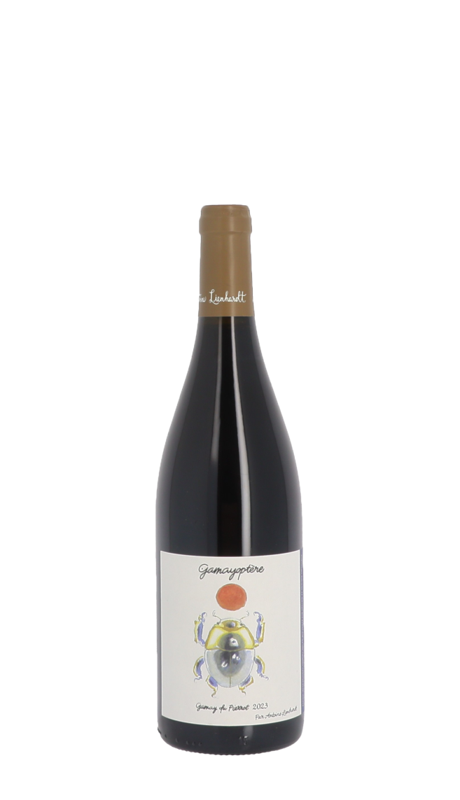 Coteaux Bourguignons GamayOptère Domaine Antoine Lienhardt 2023