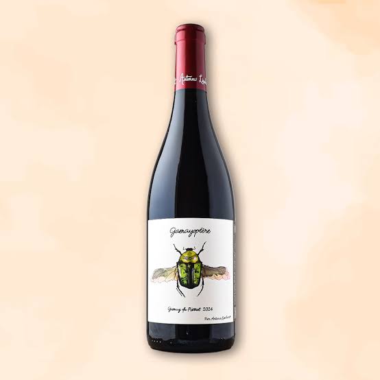 Coteaux Bourguignons GamayOptère Domaine Antoine Lienhardt 2024