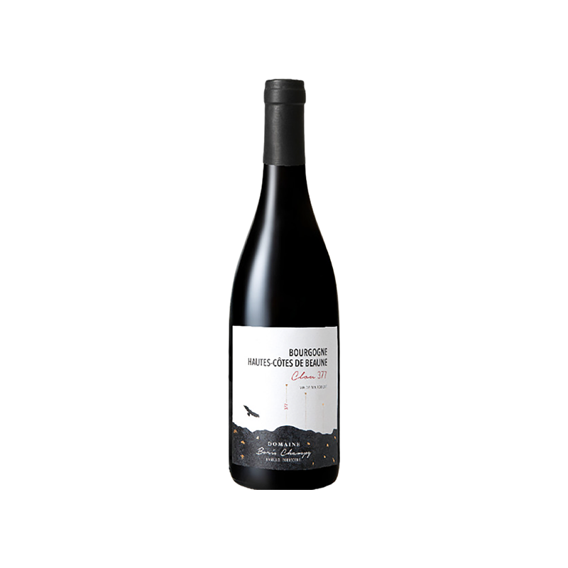 Bourgogne Hautes Côtes de Beaune Clou 377 Domaine Boris Champy 2022