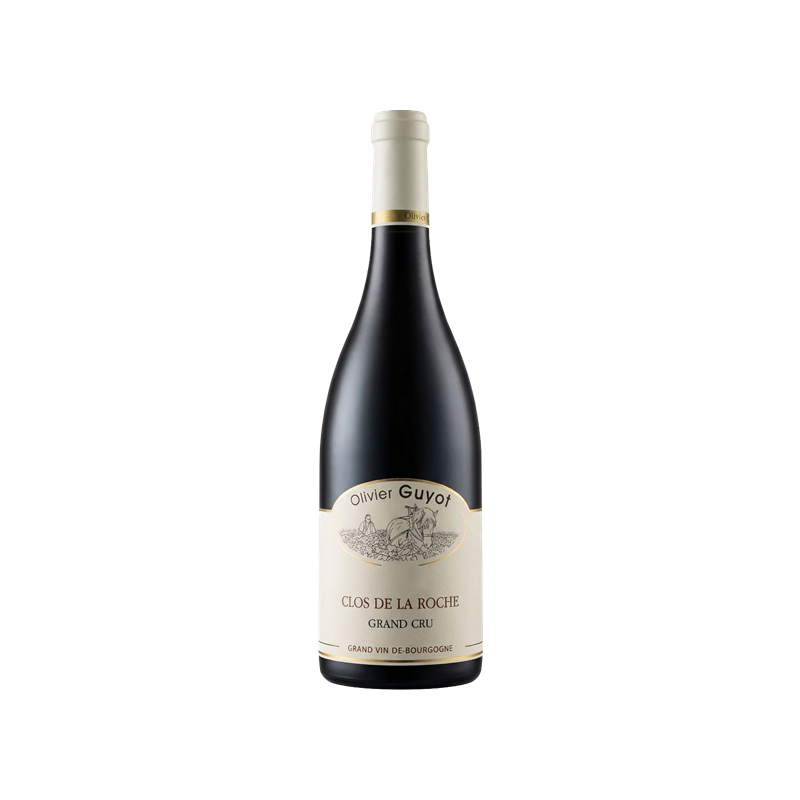 Clos de La Roche Grand Cru Domaine Olivier Guyot 2020