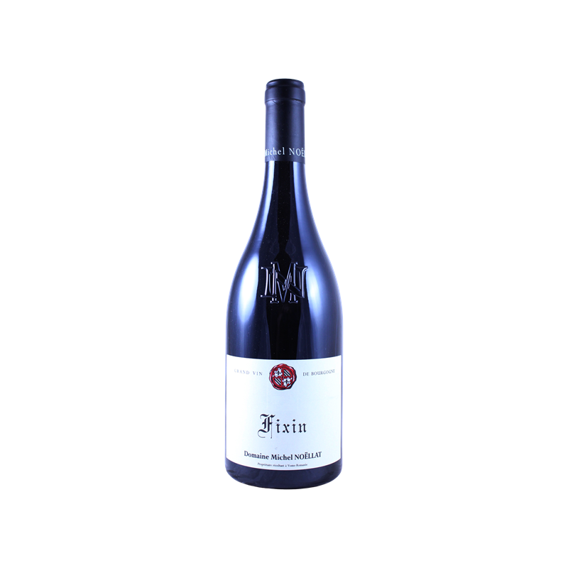 Fixin Domaine Michel Noëllat 2022
