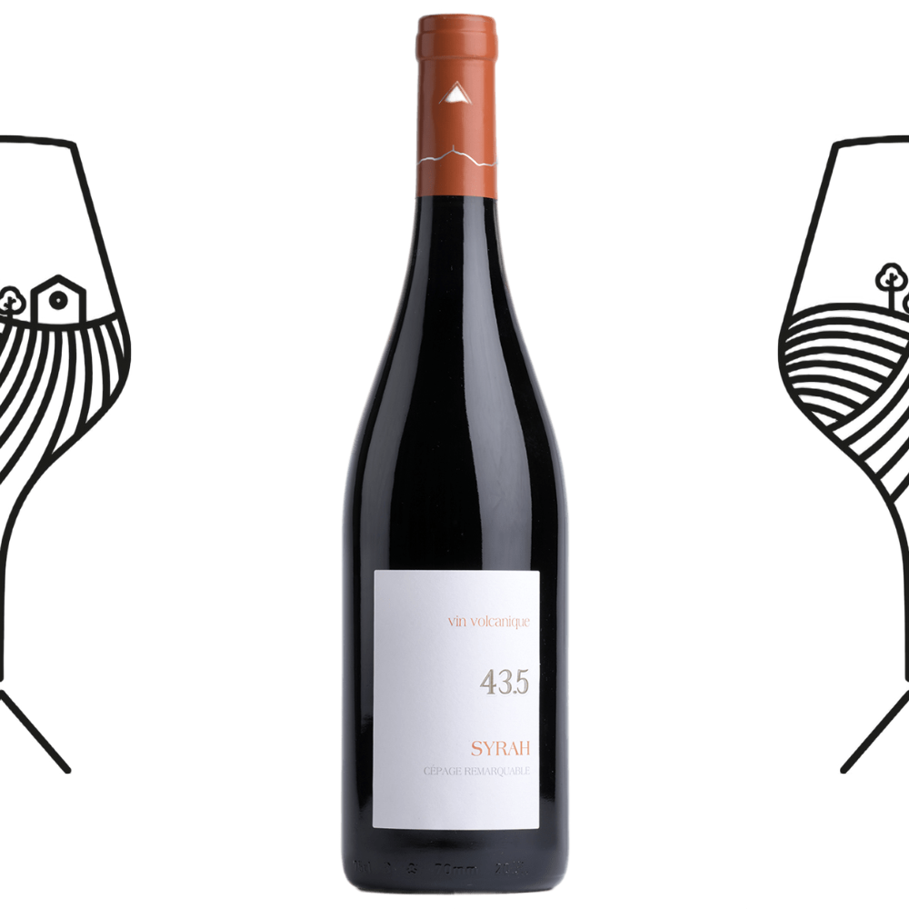 Vin de France Syrah Domaine Desprat Saint Verny 2022