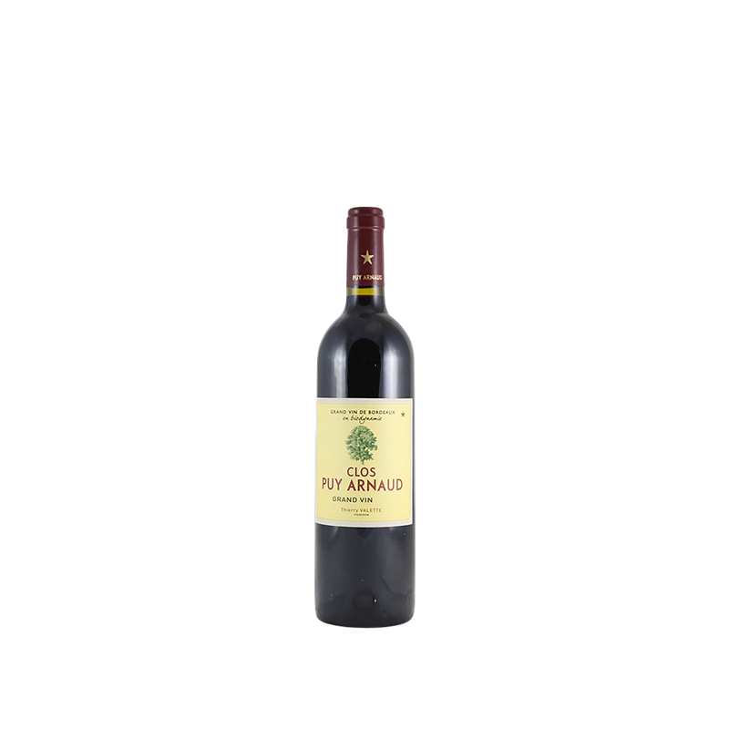 Castillon Côtes de Bordeaux Clos Puy Arnaud Demi 2009