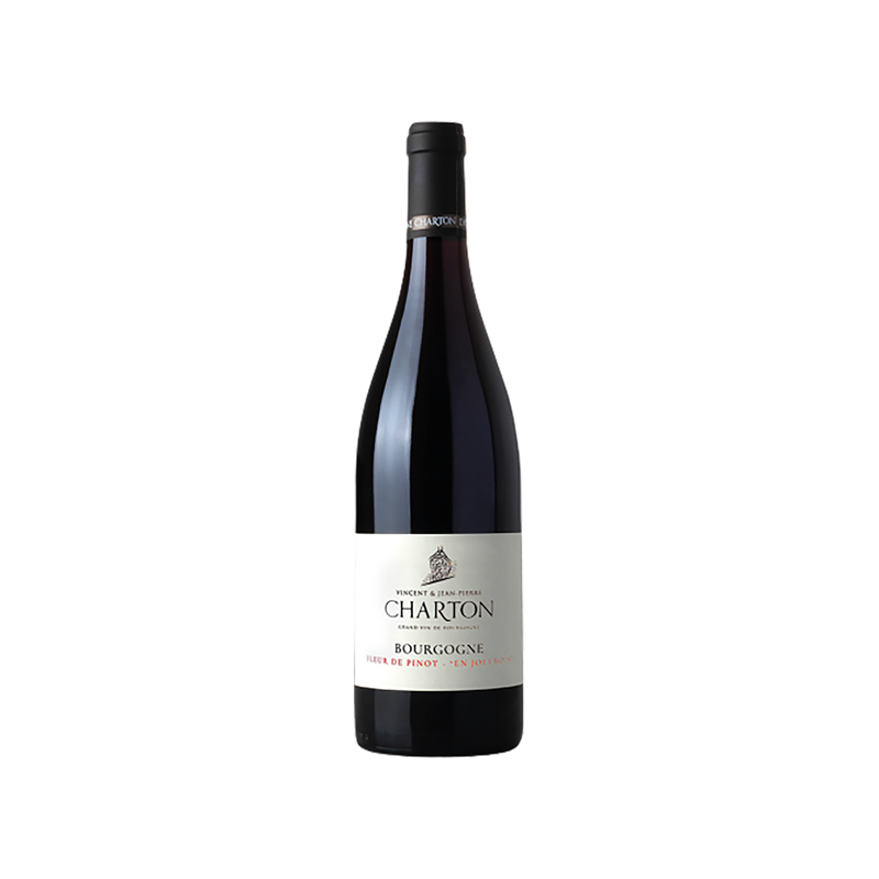 Bourgogne En Joli Bois Fleur de Pinot Domaine Vincent et Jean Pierre Charton 2022