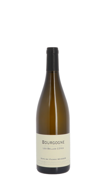 Bourgogne Les Belles Côtes Domaine Pierre Boisson 2021, blanc, Bourgogne, Bourgogne Côte de Beaune