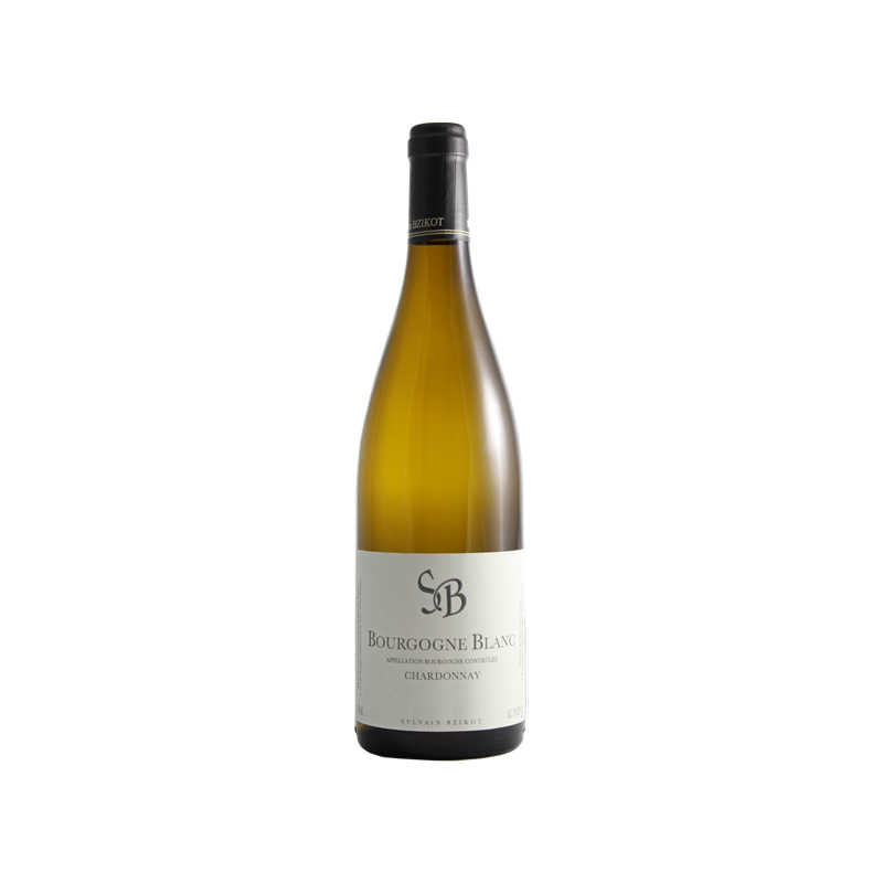 Bourgogne Domaine Sylvain Bzikot 2022, blanc, Bourgogne, Bourgogne Côte de Beaune