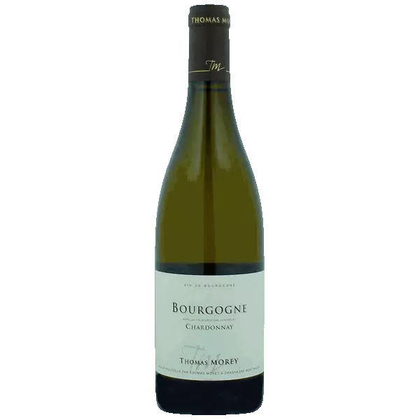 Bourgogne Domaine Thomas Morey 2023, blanc, Bourgogne, Bourgogne Côte de Beaune