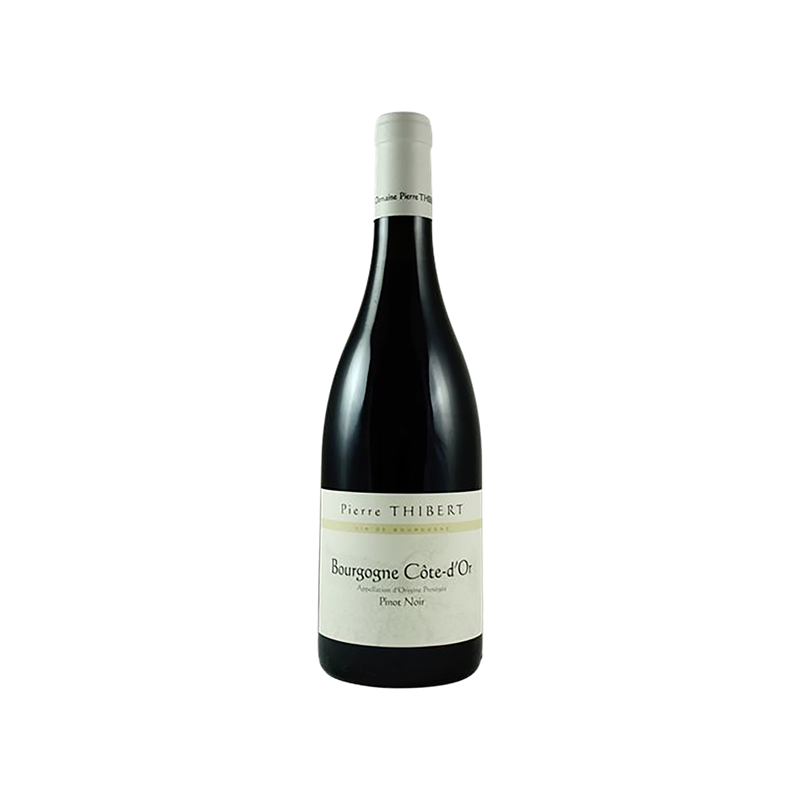 Bourgogne Côte d'Or Pinot Noir Domaine Pierre Thibert 2022, rouge, Bourgogne Côte d'or, Bourgogne Côte de Beaune